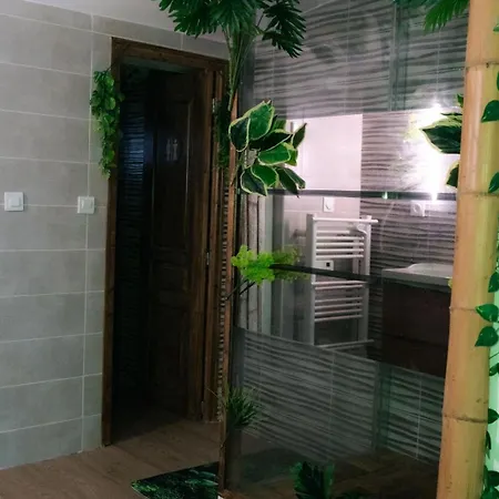 Apartament Jungle