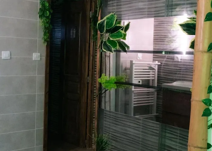 Apartament Jungle